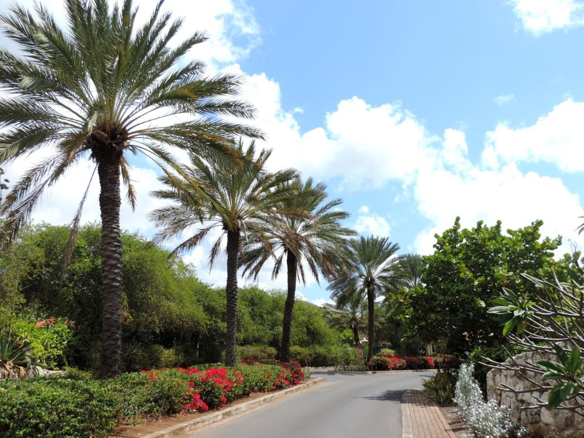 Piscadera Bay Resort 24 يلمستاد المظهر الخارجي الصورة